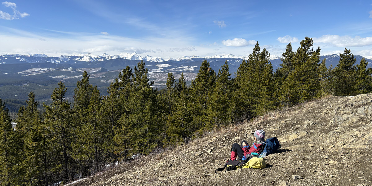 Somebody needs to cut down a few of these trees blocking the views!