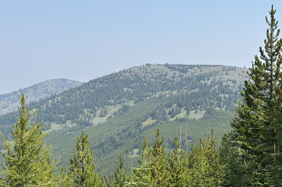 Lotsa named summits in this area...maybe worth a return visit in the future?