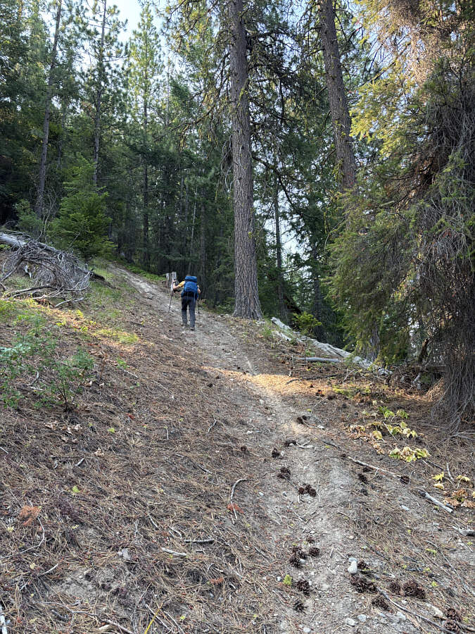 Definitely a trail for dirt bikers and not hikers!