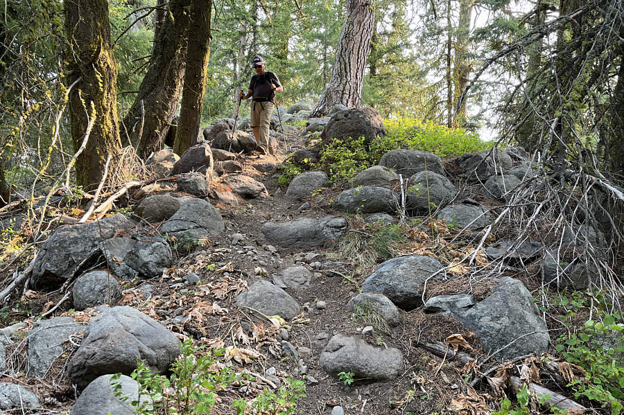Thankfully, there's a good trail to the south summit.