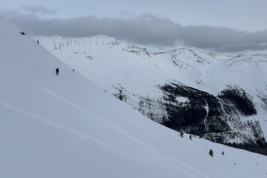 If only the light wasn't so flat...