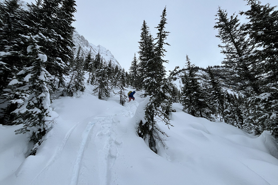 Kinda fun and kinda scary!