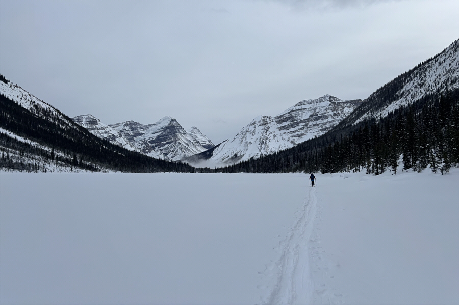 Don't worry...there's more "fun" skiing to come!