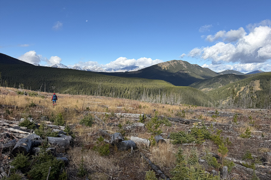 Fixed the trail, my ass!
