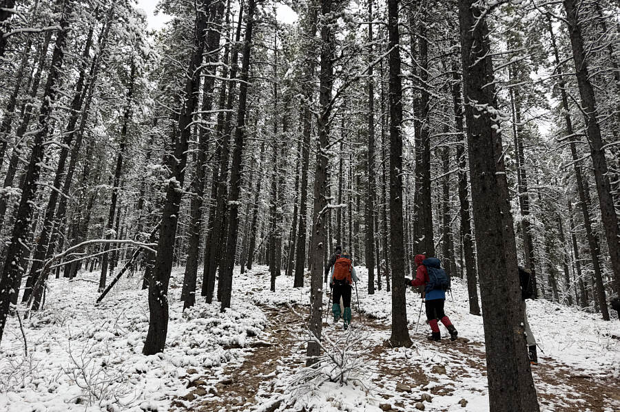 And it's a very pleasant trail to ascend which makes it so popular.