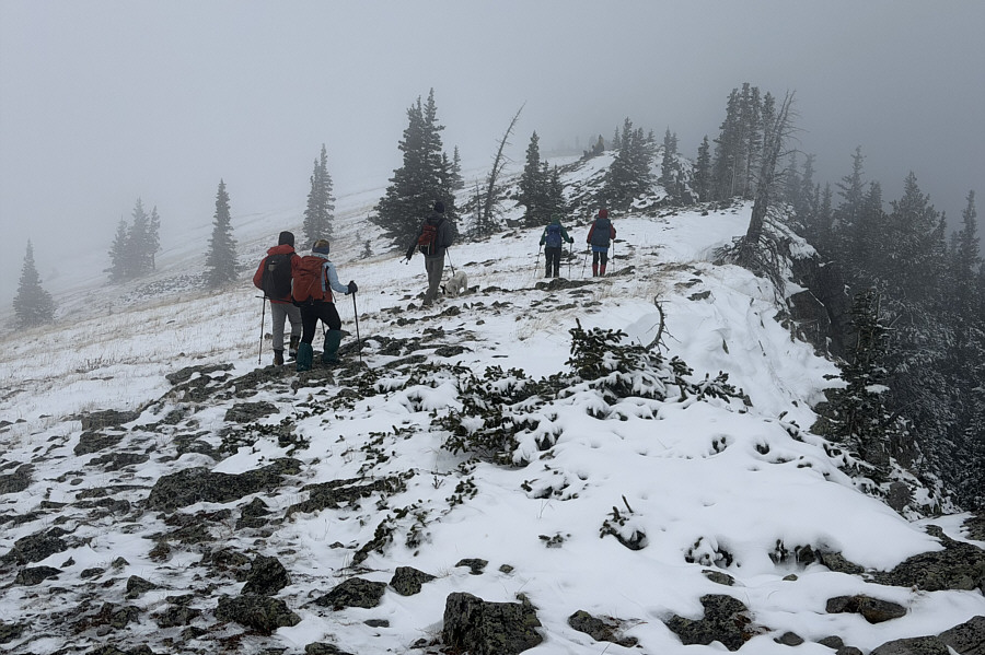 Not a great day for far-reaching views!