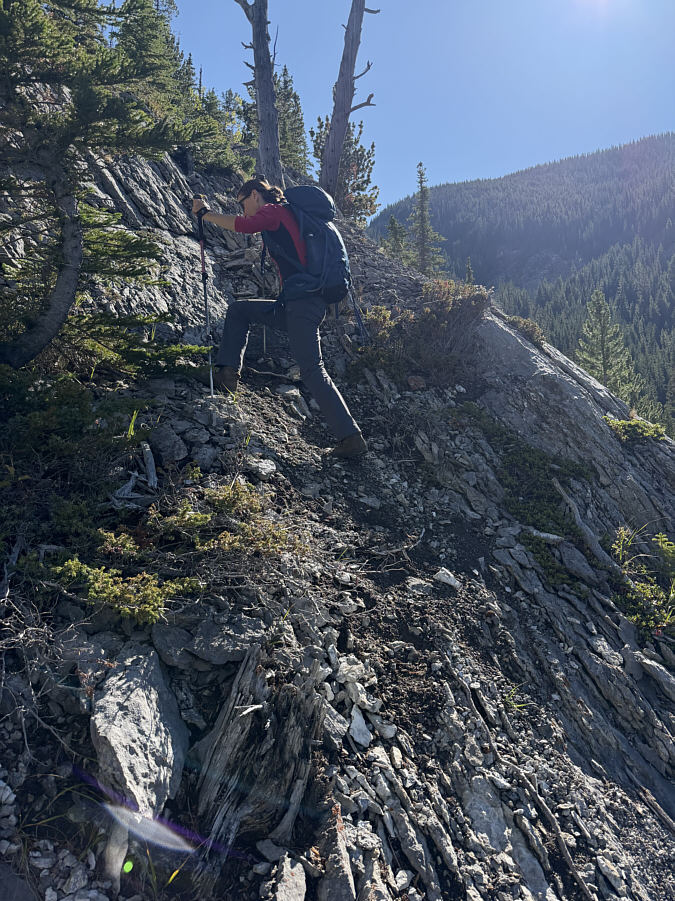 Very steep and loose in places--use caution!