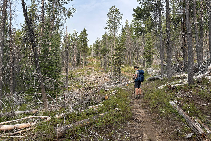 Great for mountain biking!