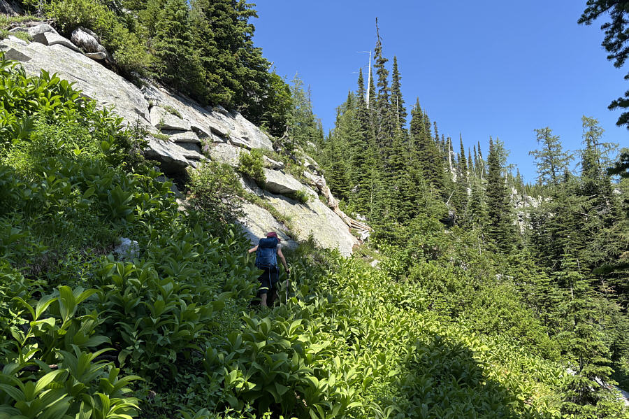 We're getting into Class 4/5 terrain here.