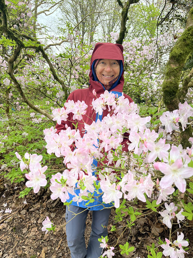 As identified by AI; I have no clue what these flowers are!