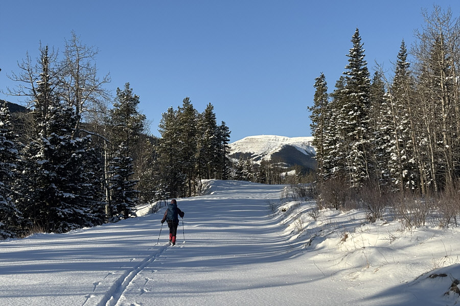 And you can even see the building at the top!