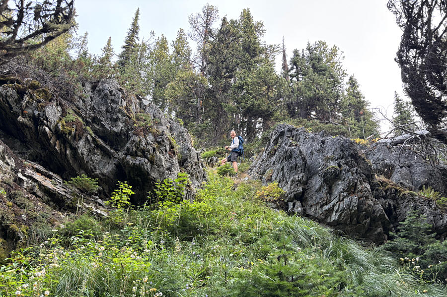 Wasn't expecting any cliffs here!