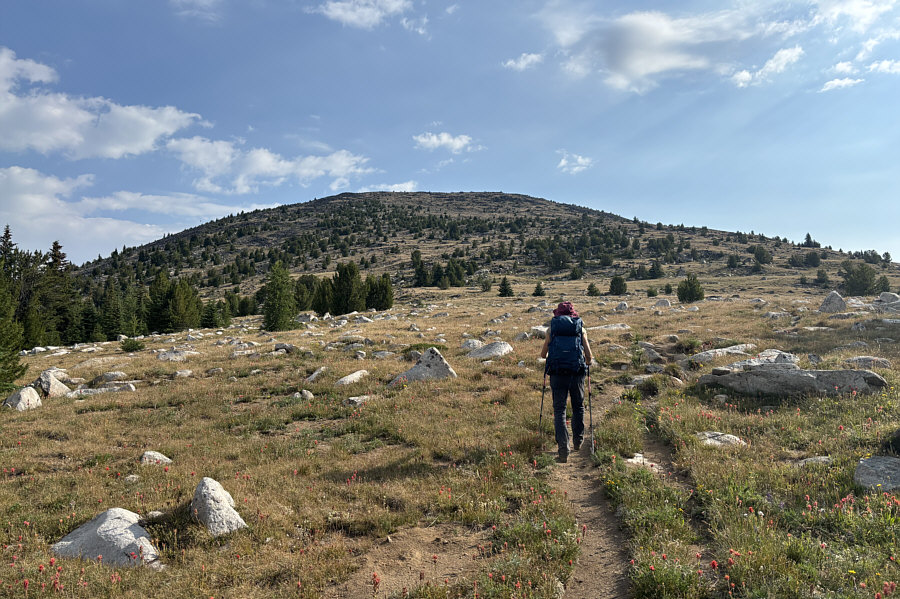This would be awesome ski touring terrain...if you could get here in winter conditions!