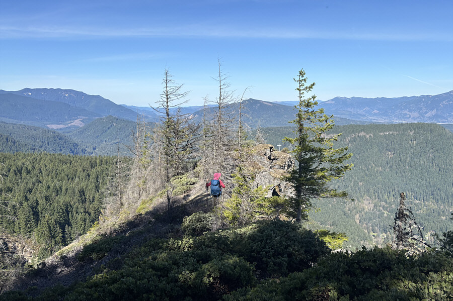 It's best to stick to the left of the trees!