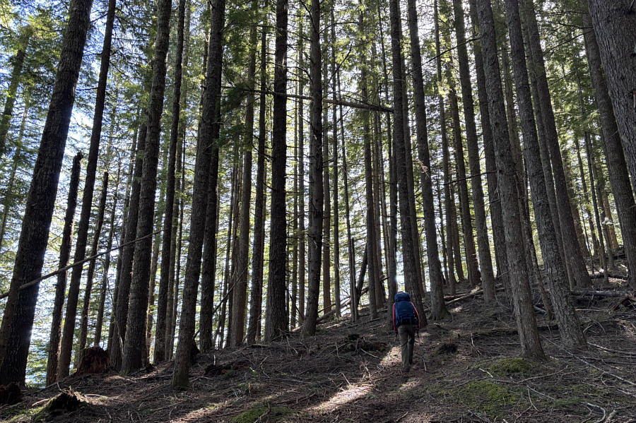 Took us about half an hour to climb back up 150 metres--not bad.