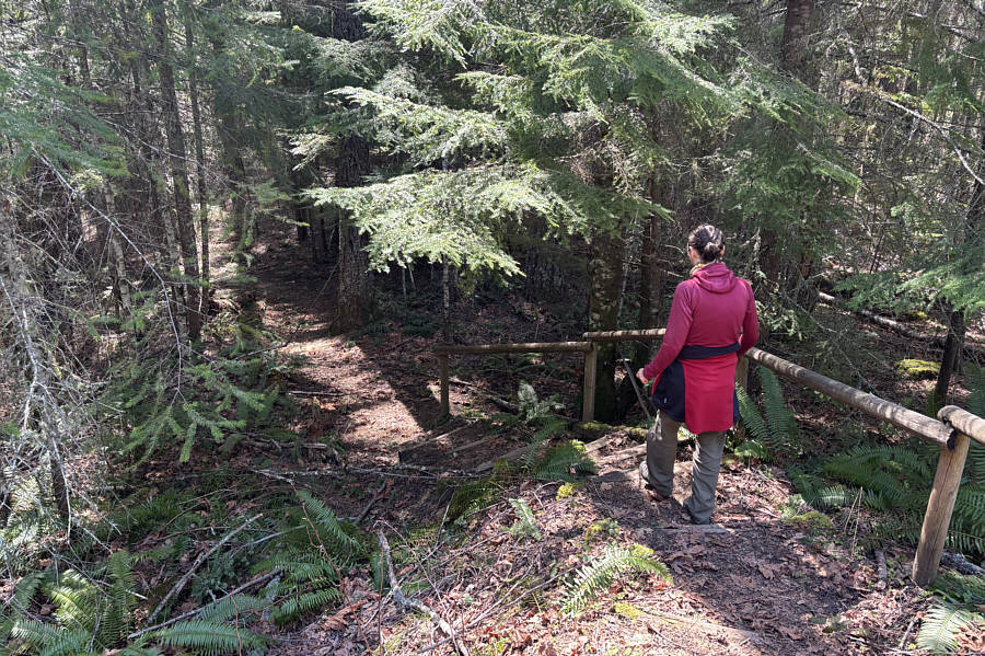 No pack, no poles, no problem!