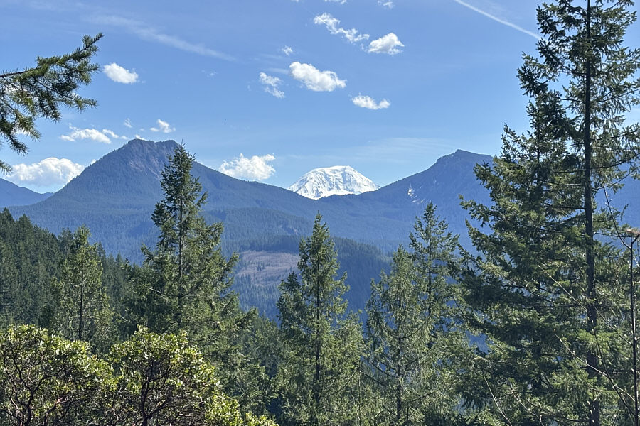 That was unexpected!