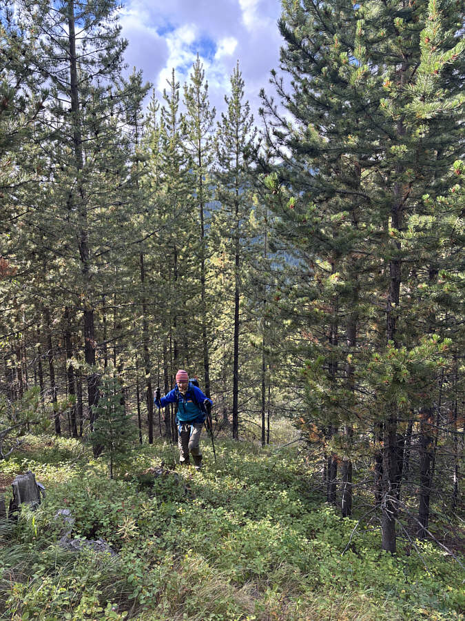 Following the AllTrails route!