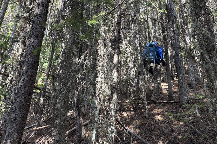 The bushwhacking was not too bad overall, though.
