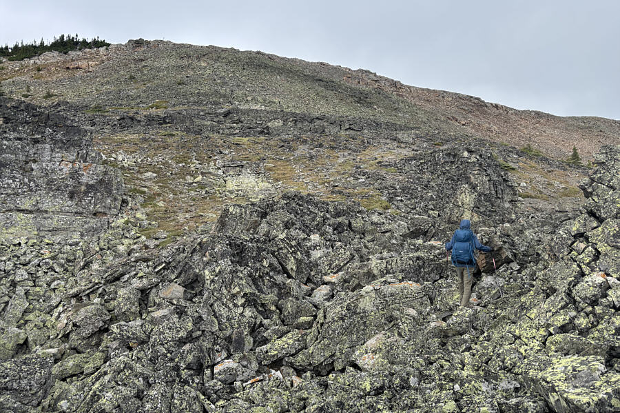 See the stick on the ridge?
