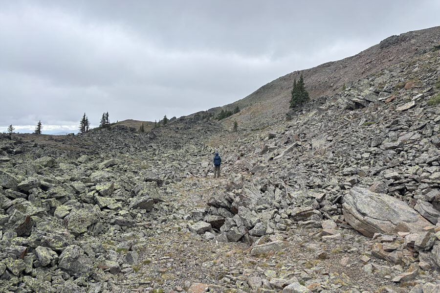 There are trail markers, but the trail is kind of intermittent.