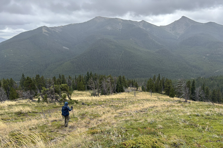 This avoids all the bushwhacking we did during our ascent.
