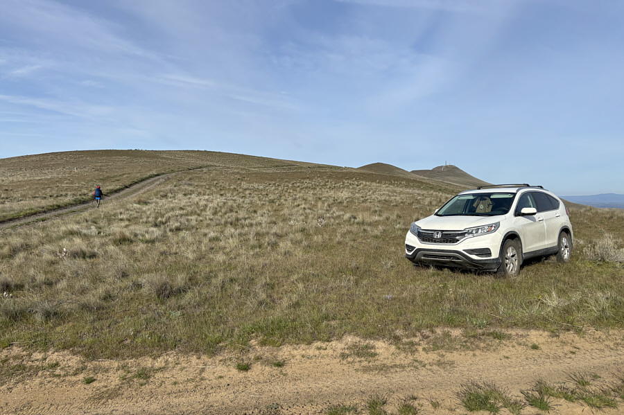 Maybe I should've driven further...