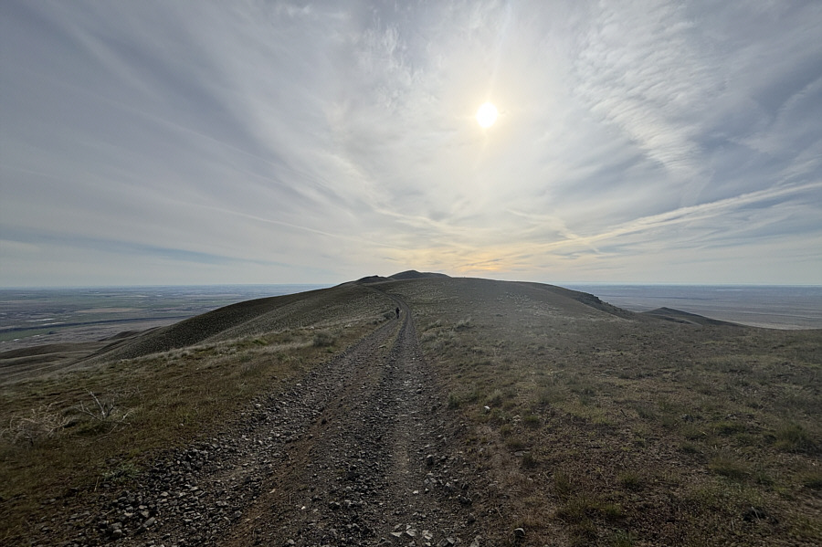 You could say it's kinda boring too!