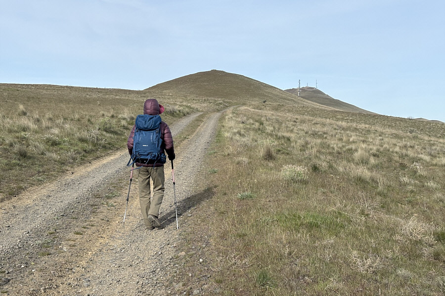Look for lotsa wildflowers along the way!