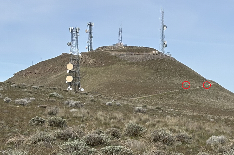 We spotted them later running far away down the south slopes of the mountain.