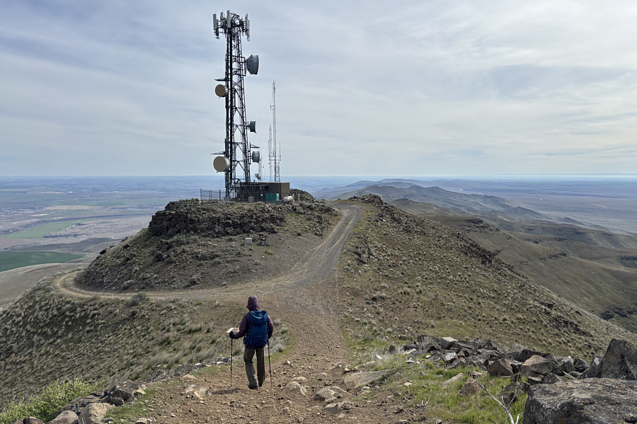 We were half-expecting to see the wolves up here!