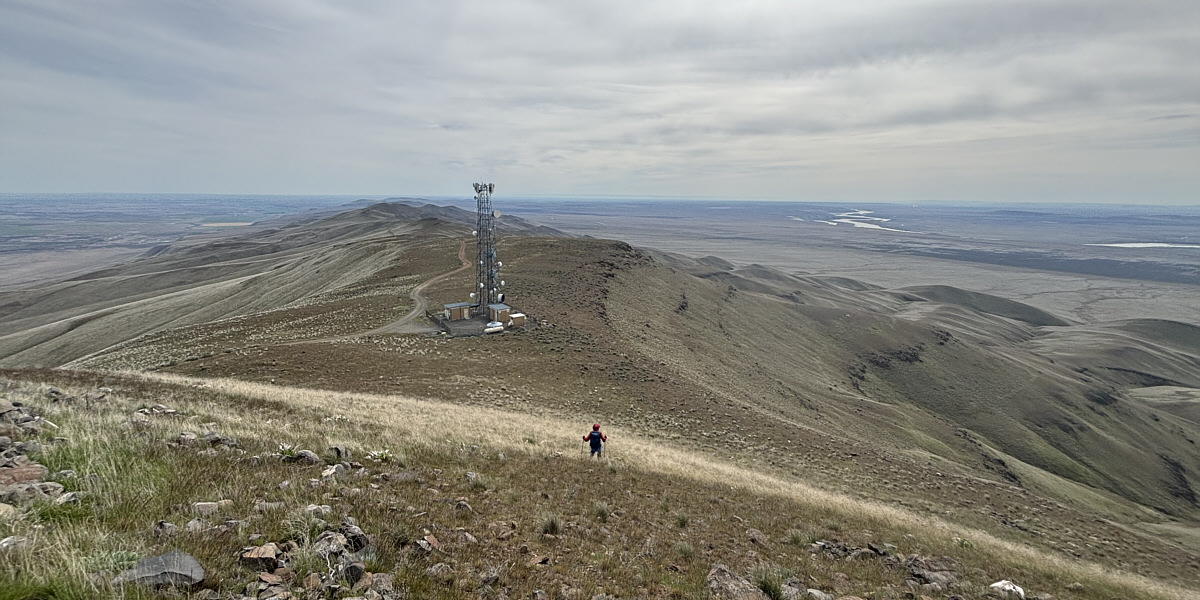 Watch out for the fresh wolf poop!