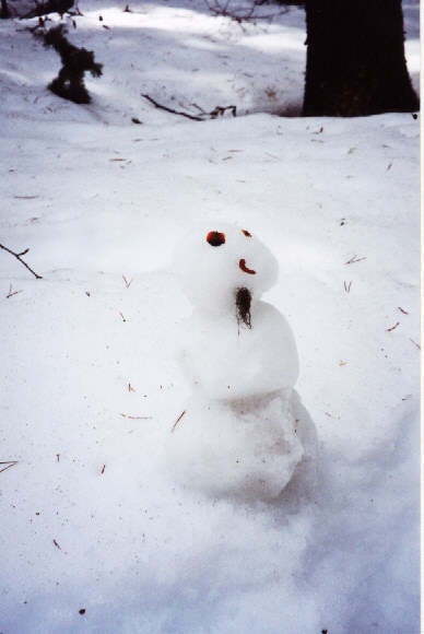 Dan Millar's Snow Gnome
