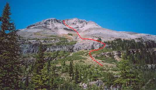 It's best to stay in the middle of the gully for the ascent.  Looser terrain adjacent to the gully is better for the descent.