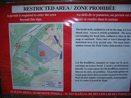 No stopping allowed in the blue zone.  What if I have to pee?
