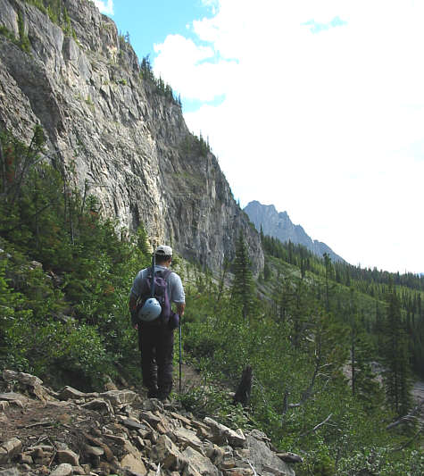 These are the "trailside cliffs" described by Alan Kane.
