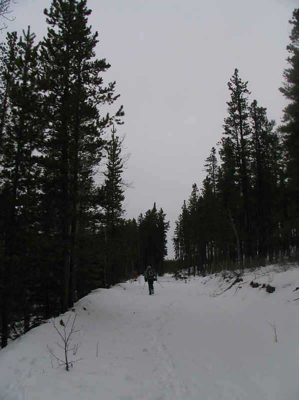The snow isn't too deep here, but it's still tiring breaking trail.