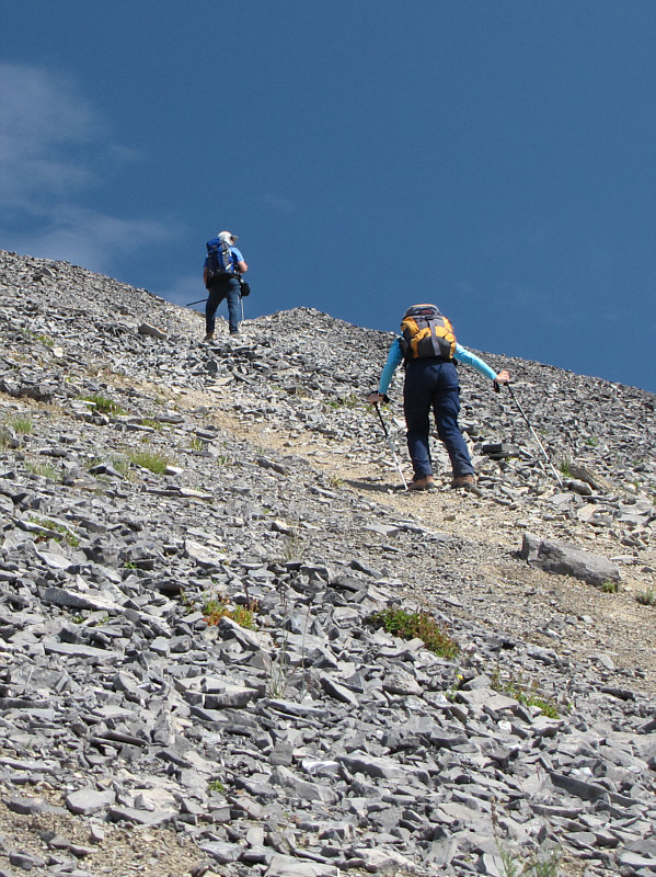 Even with a trail it was hard work going up this scree!
