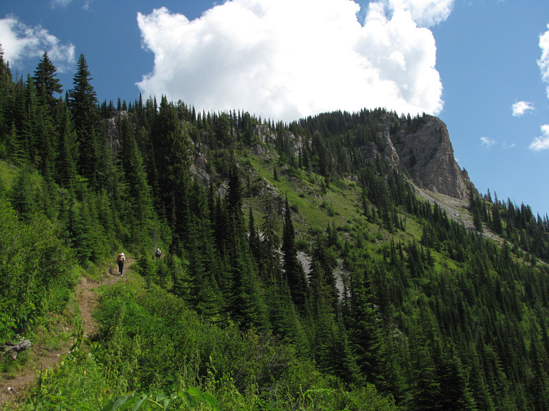 The Tamarack Trail eventually goes all the way to the base of Three Sisters.
