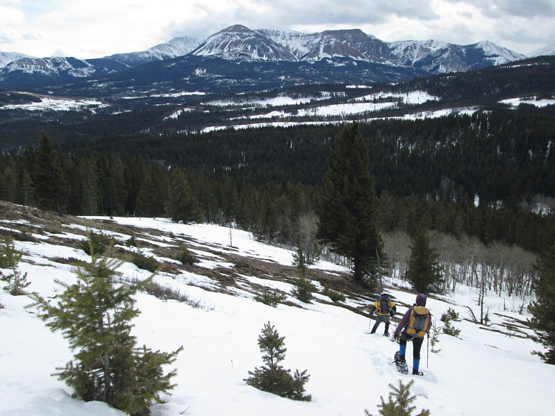 On the ascent, Bob had considered ditching his snowshoes at the big evergreen tree at right!