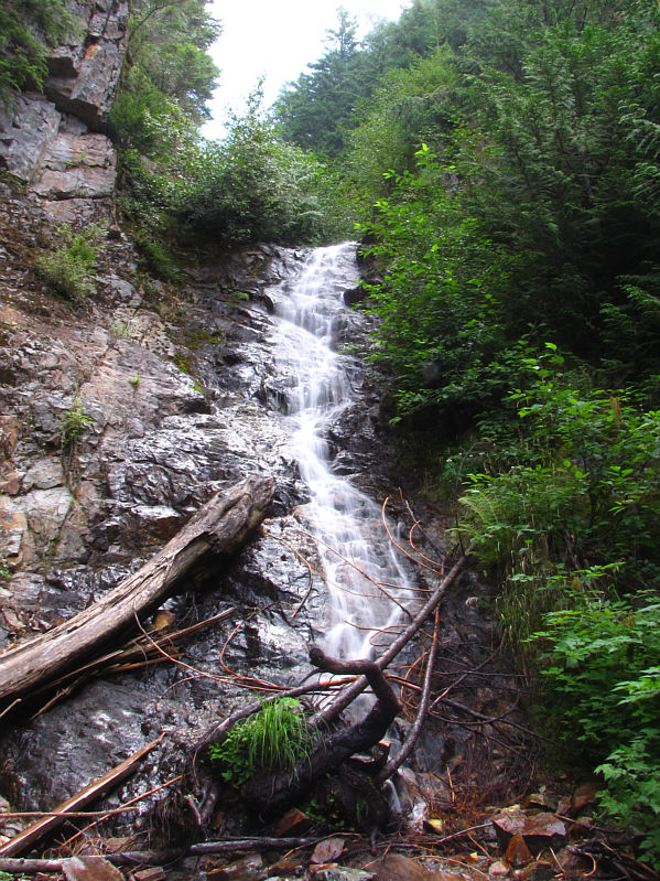 It's odd that you would find Alberta Creek in British Columbia!
