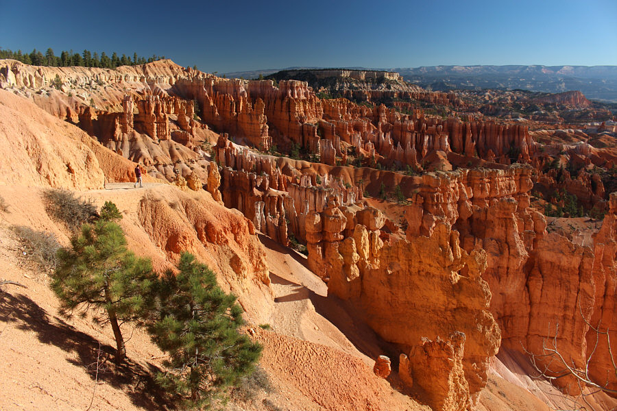 Walking among the hoodoos is the best way to experience Bryce Canyon.