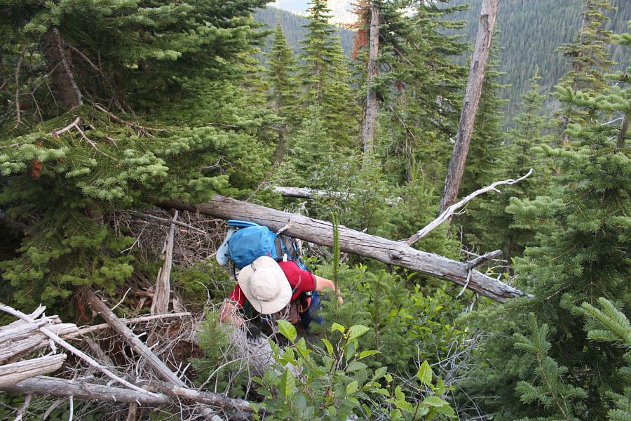 This was the last of the worst bushwhacking. Things began to improve after this...really!!