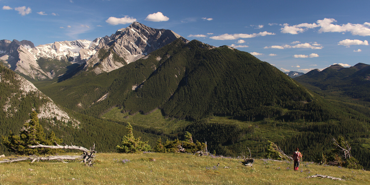 Time to get down and go get some ice cream in Fernie!