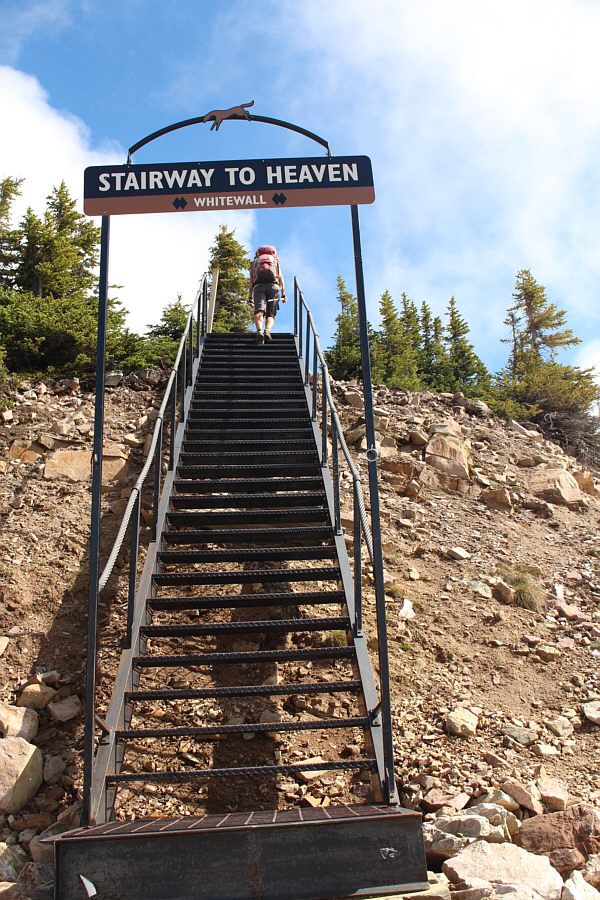 And she's buying a stairway to heaven...