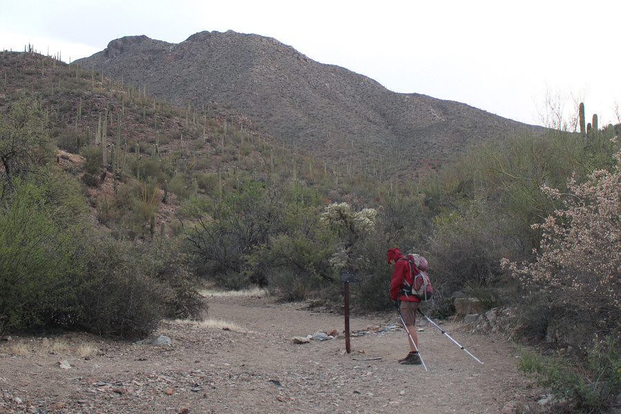 Stay on the King Canyon Trail here (go right).