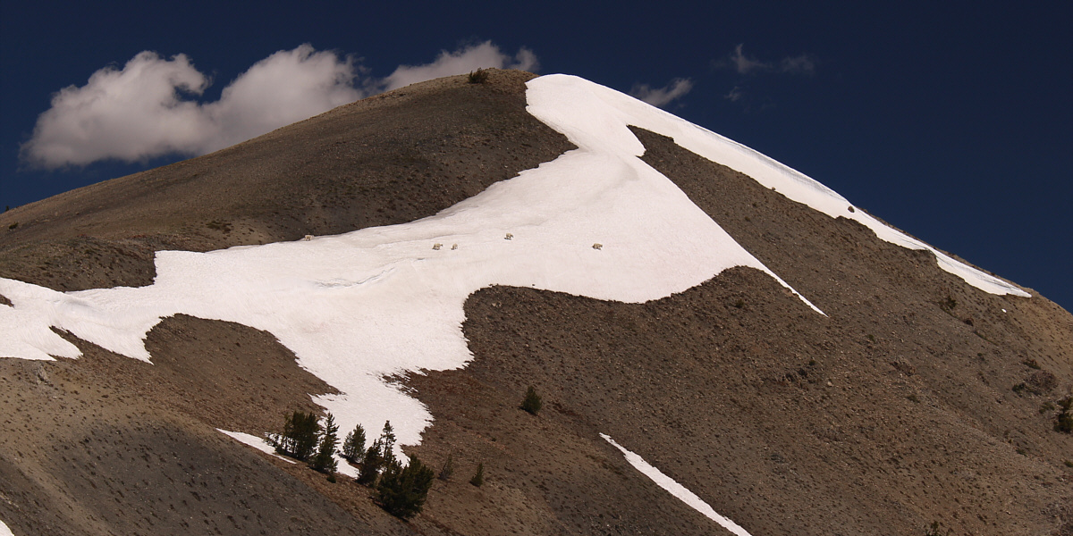 Therefore, we shall name this Goatslide Peak!