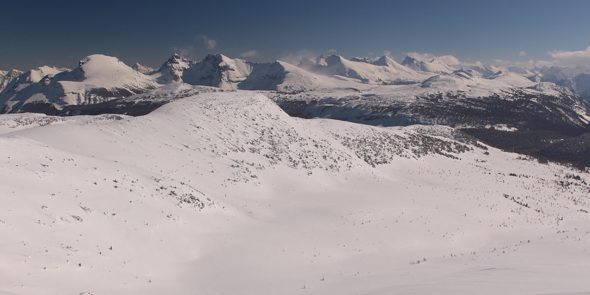 Look at all those suckers paying big bucks to ski at Sunshine Village!