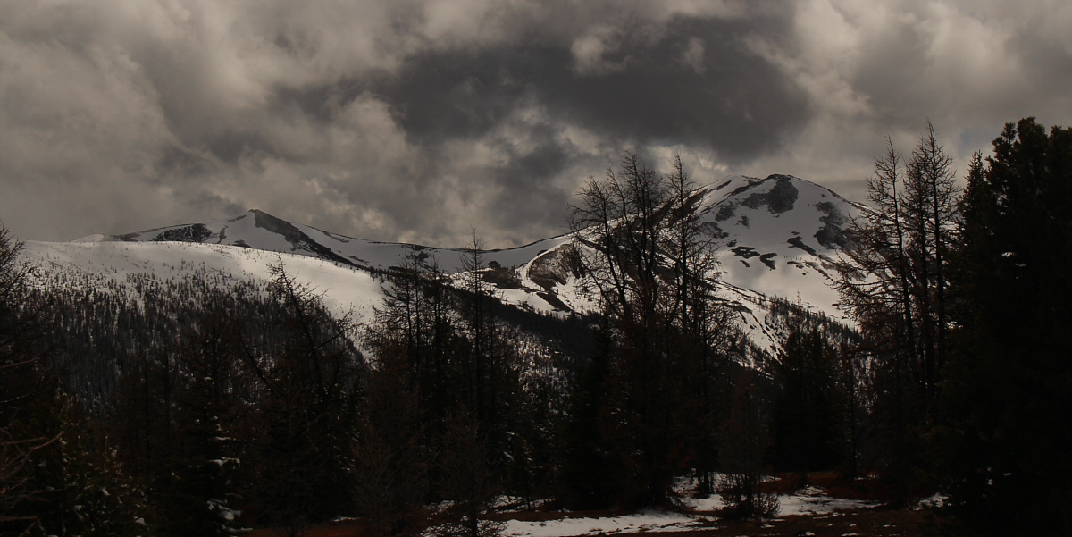 Someone should clear-cut all the trees on top of Mount Taynton!