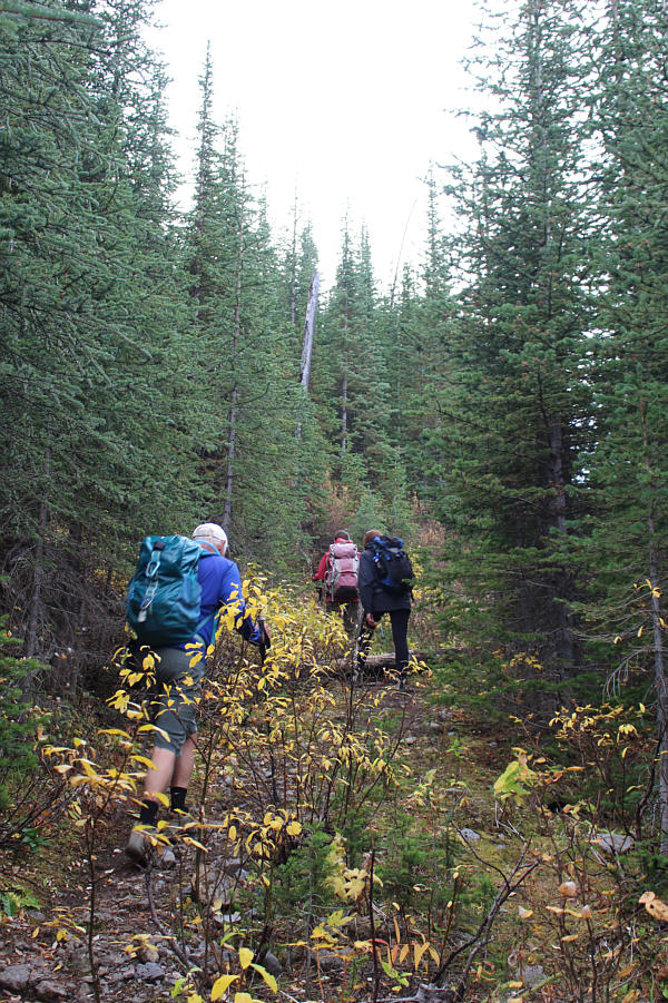 The trail gains about 120 metres over half a kilometre.